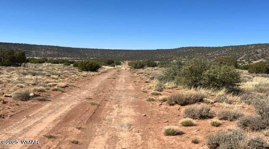 3871 Del Contento road