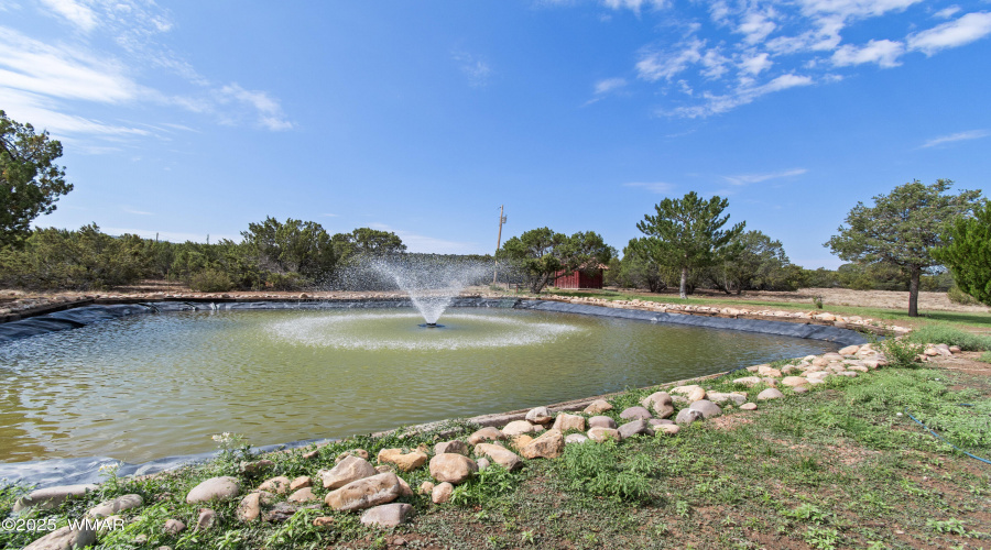 Water feature