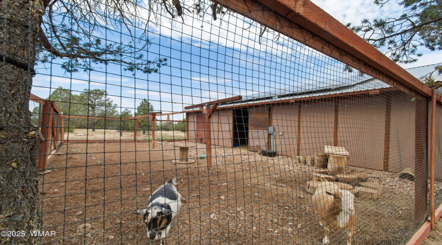 Goat pen