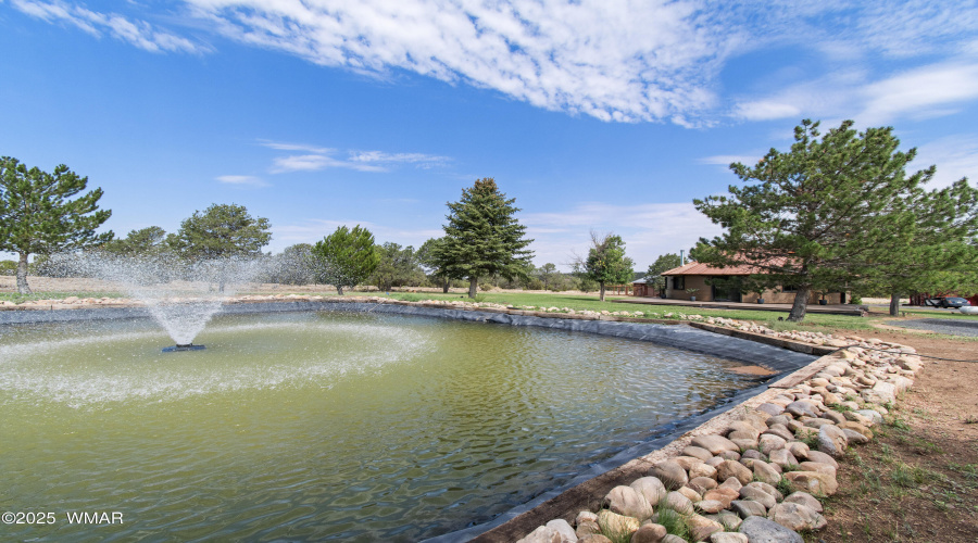 Water Feature