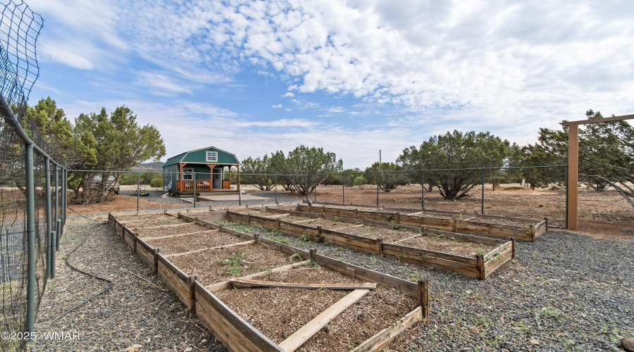Outdoor Garden area