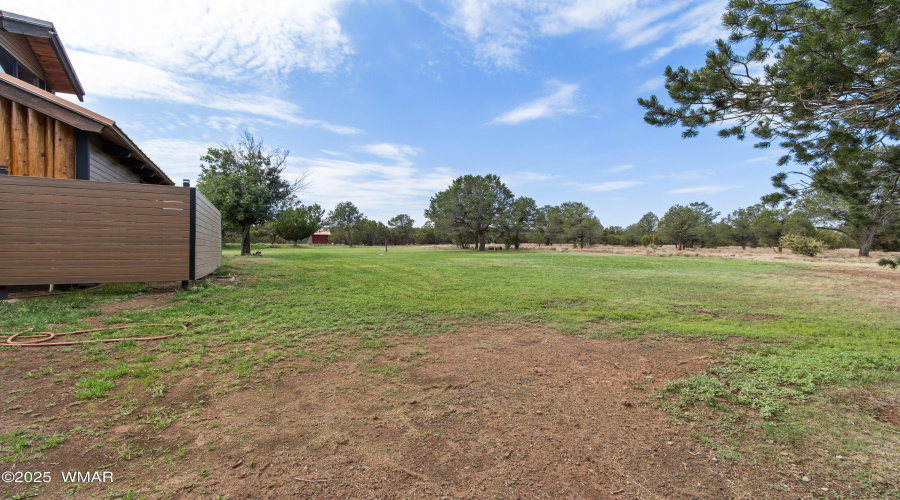 North side yard