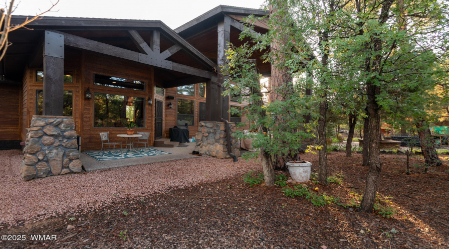 back yard