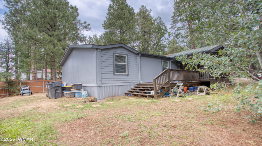Paxmanphoto_PAX_0509