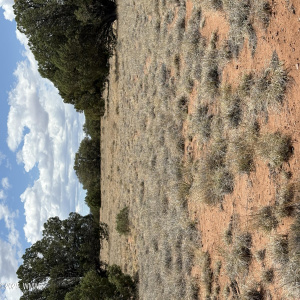 Home site