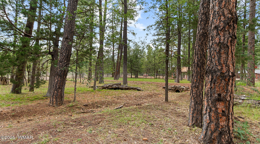 1096 Cooper Lane, Lakeside, AZ