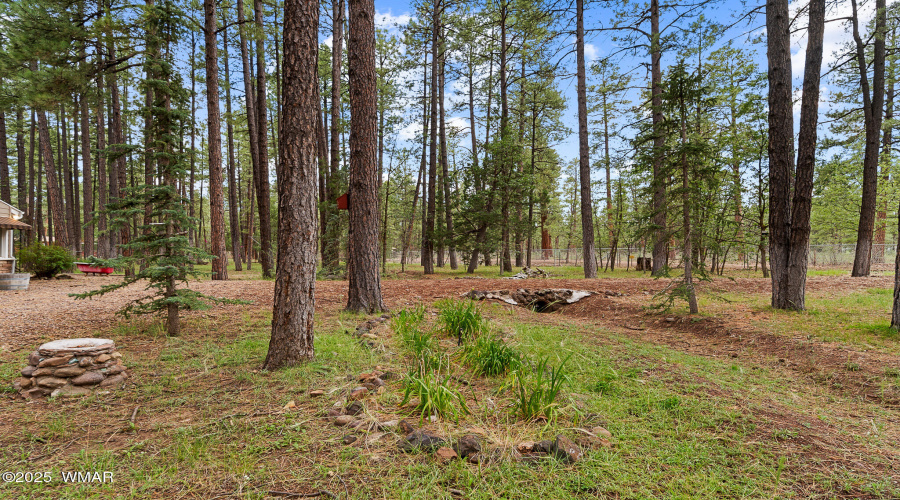 1096 Cooper Lane, Lakeside, AZ