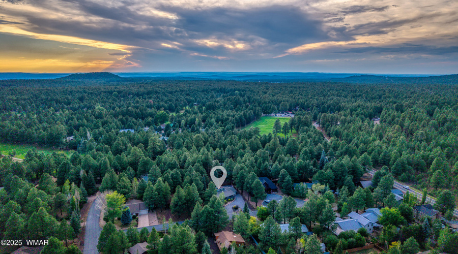 Aerial