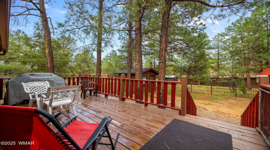 3349PanoramaDr-Heber-AZ-30