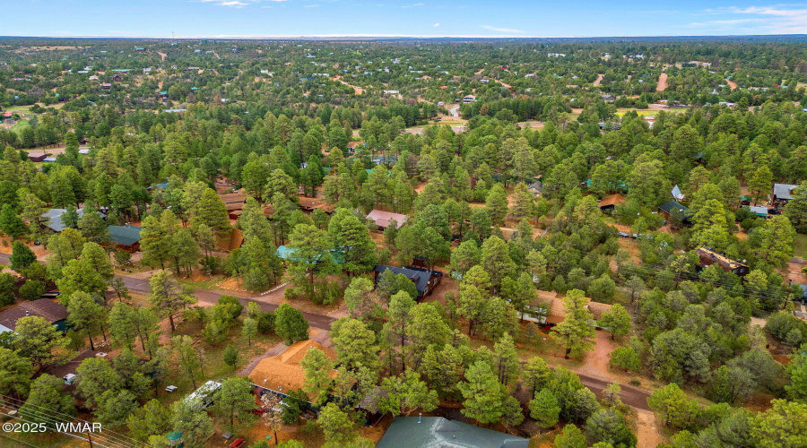 3349PanoramaDr-Heber-AZ-36