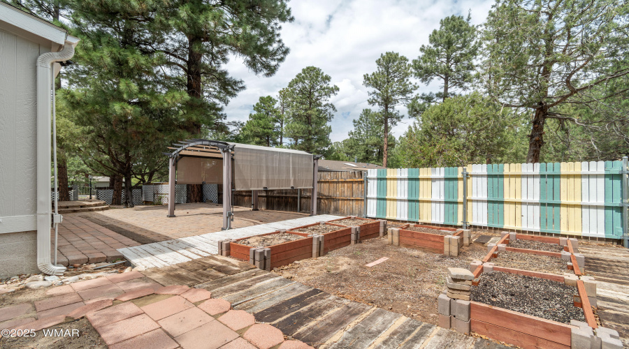 Brian Durbin Photo Backyard