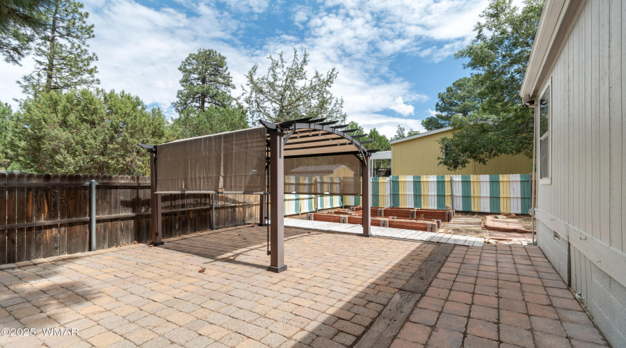 Brian Durbin Photo Backyard