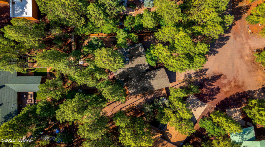 6735SunsetTrail-Pinetop-AZ-29