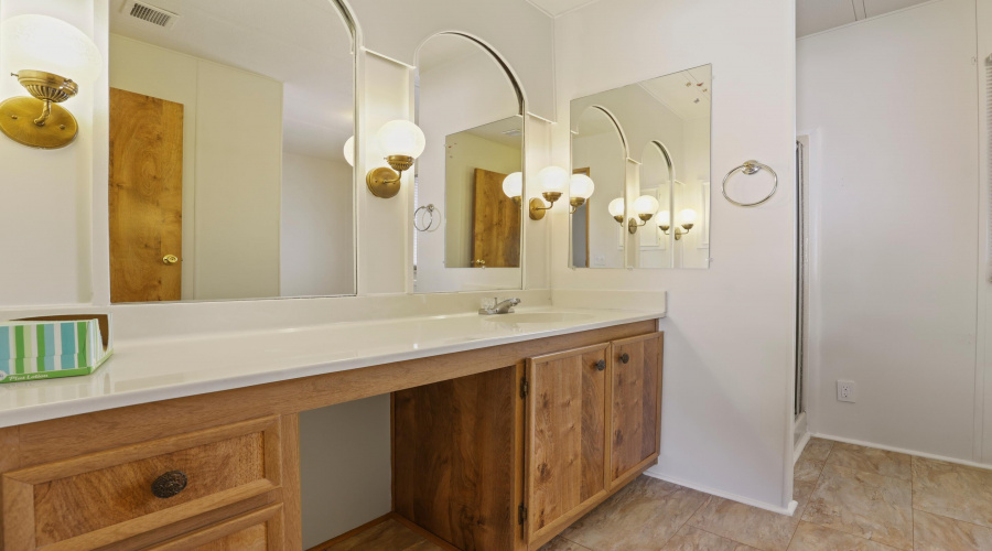 Master Bathroom (1)