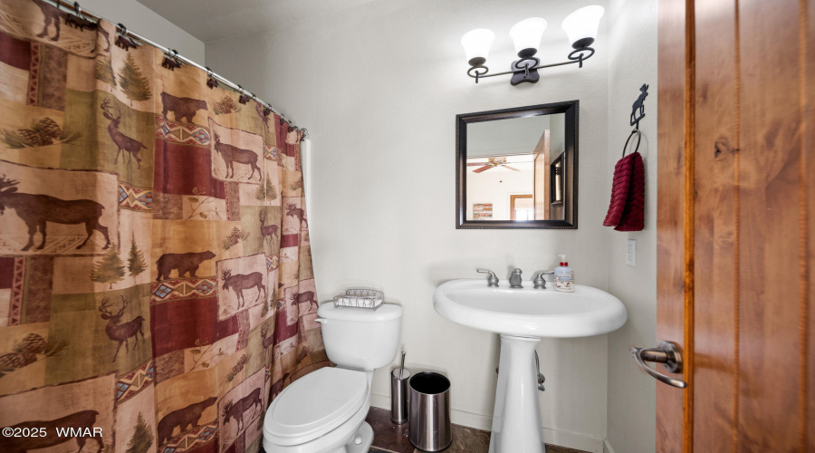 Guest Suite Bathroom