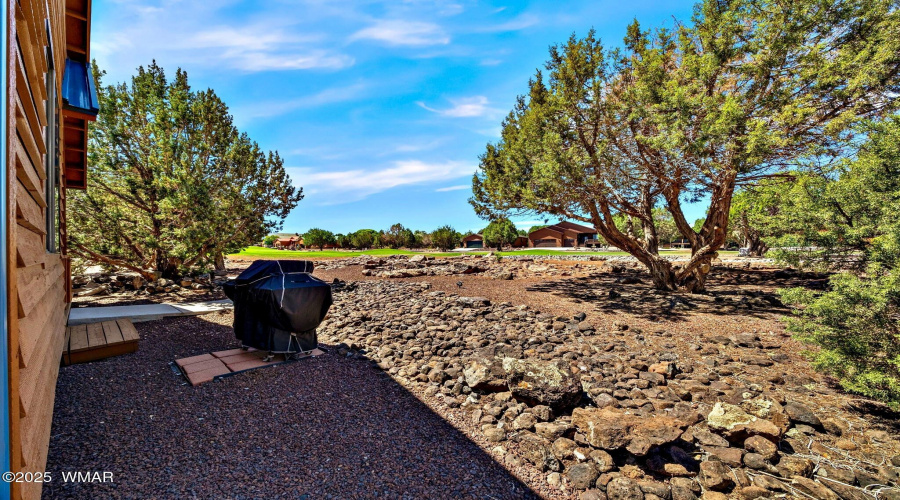 1952MaritimeDr-ShowLow-AZ-29