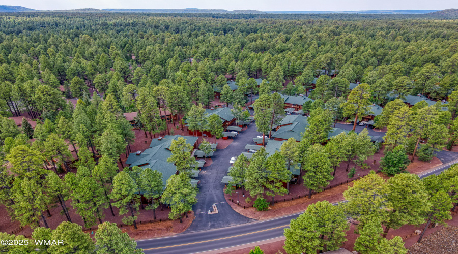 Drone Driveway