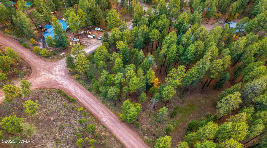 Parcel10172074-AlpineAZ-9