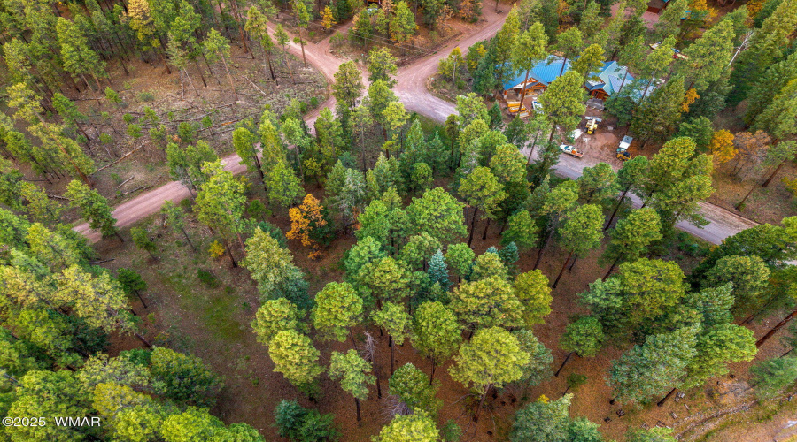 Parcel10172074-AlpineAZ-11