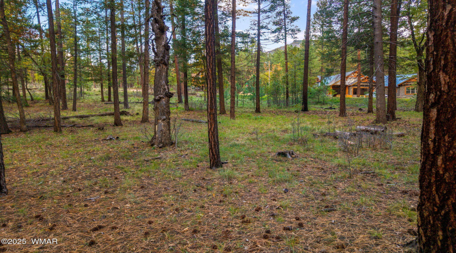 Parcel10172074-AlpineAZ-12