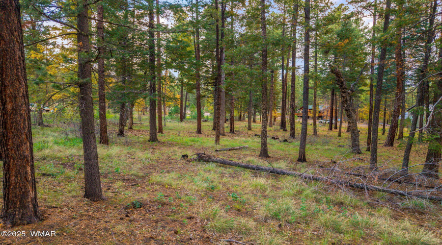 Parcel10172074-AlpineAZ-13