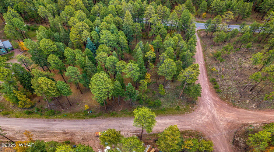 Parcel10172074-AlpineAZ-7