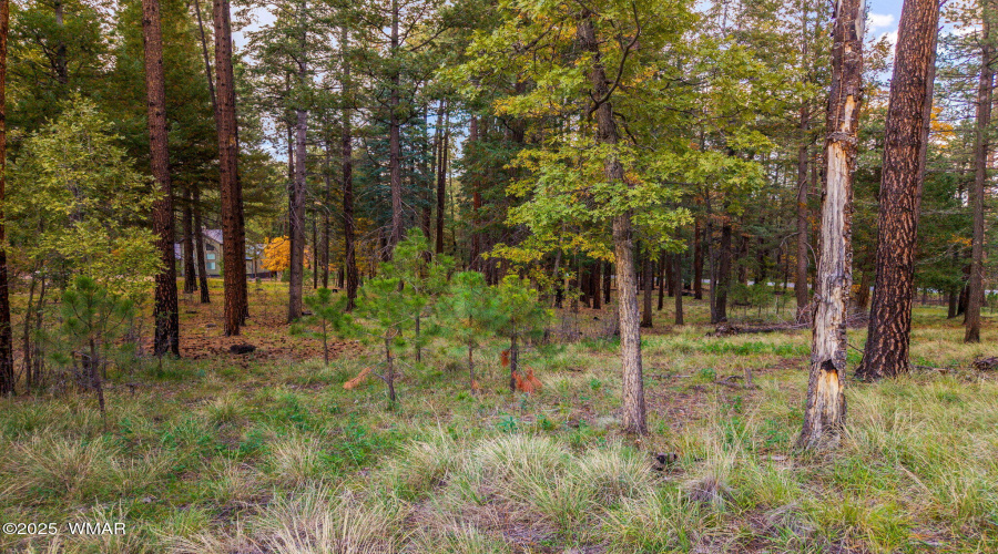 Parcel10172074-AlpineAZ-14