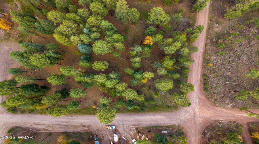 Parcel10172074-AlpineAZ-5