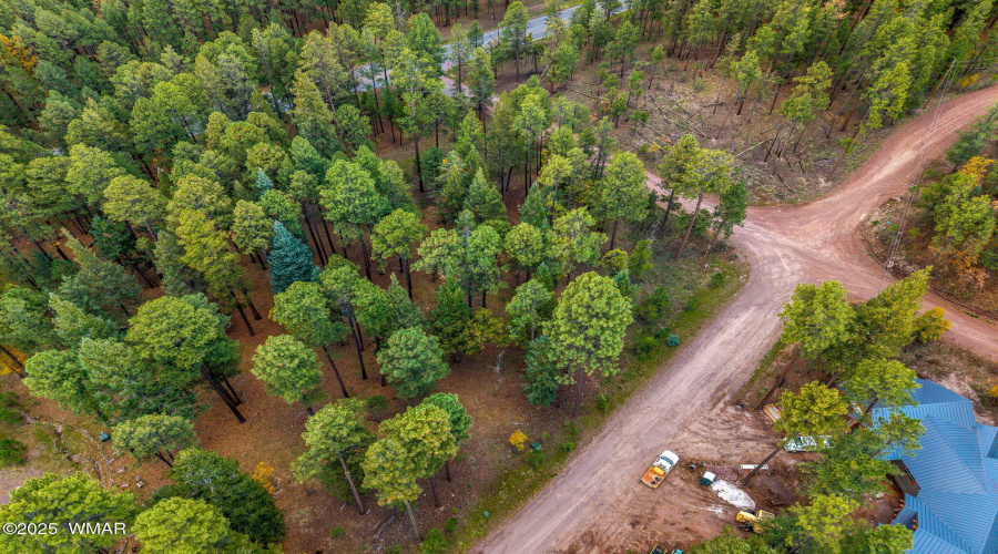 Parcel10172074-AlpineAZ-6