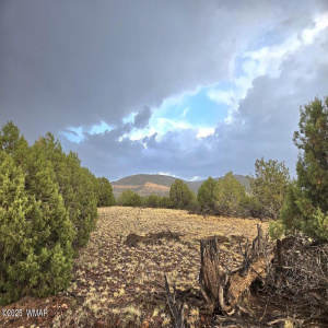 Pinon Valley Lot 9