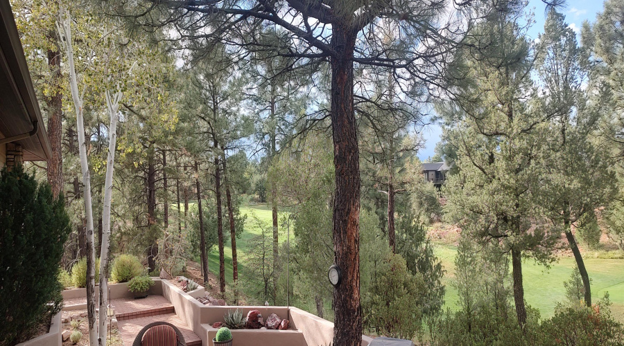 IMG_20250826_170112247_HDR