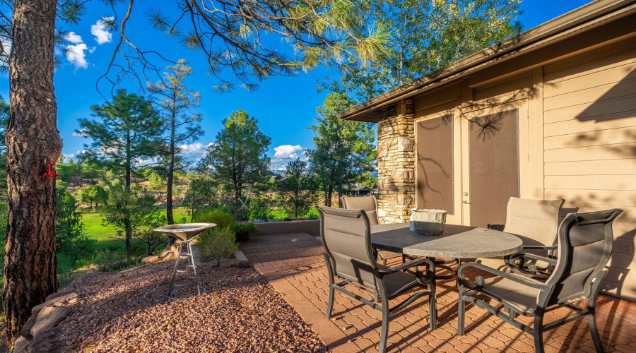 2202 E Feather Plume Ln - 45