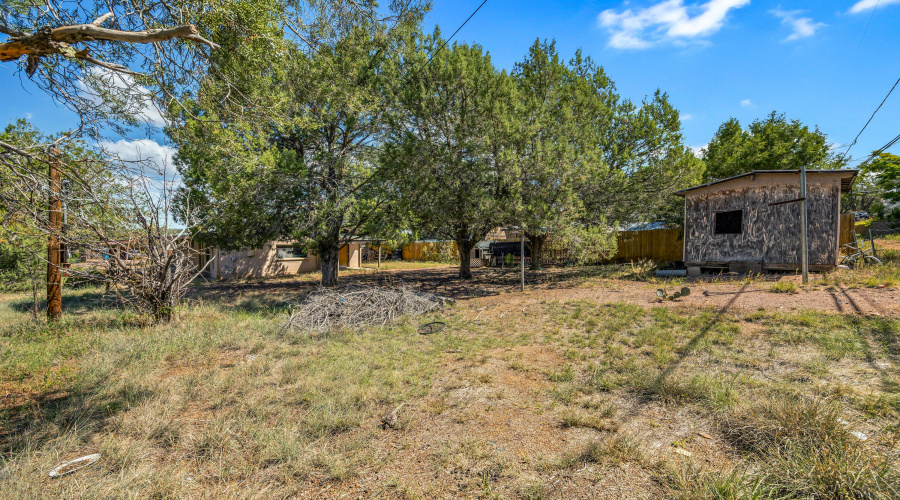 215EPhoenixSt-Payson-AZ-20