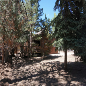 DSC06665
