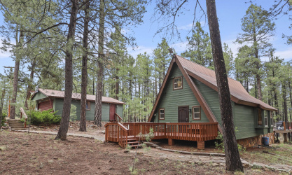 Freshly Painted Cabin/Garage