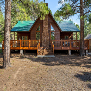 1292ElkDr-ForsetLakes-AZ-4