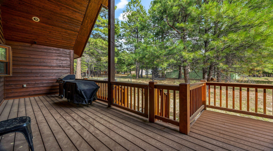 1292ElkDr-ForsetLakes-AZ-27