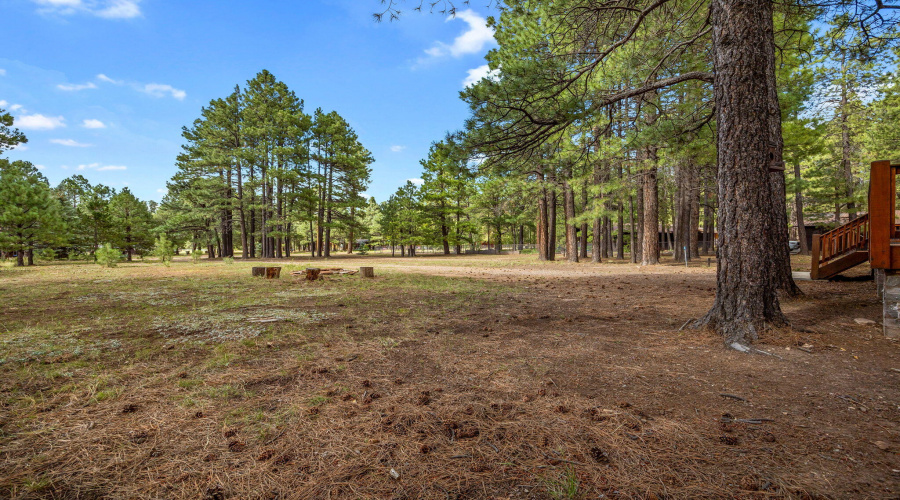 1292ElkDr-ForsetLakes-AZ-32