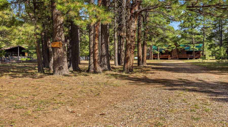 1292ElkDr-ForsetLakes-AZ-1