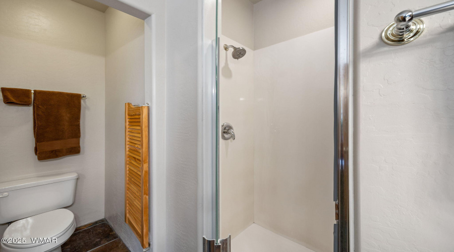 Primary Shower