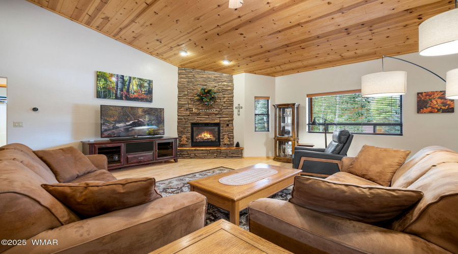 Living Fireplace
