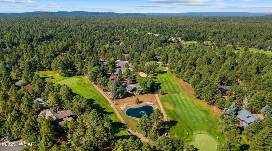 Drone Fairway 3