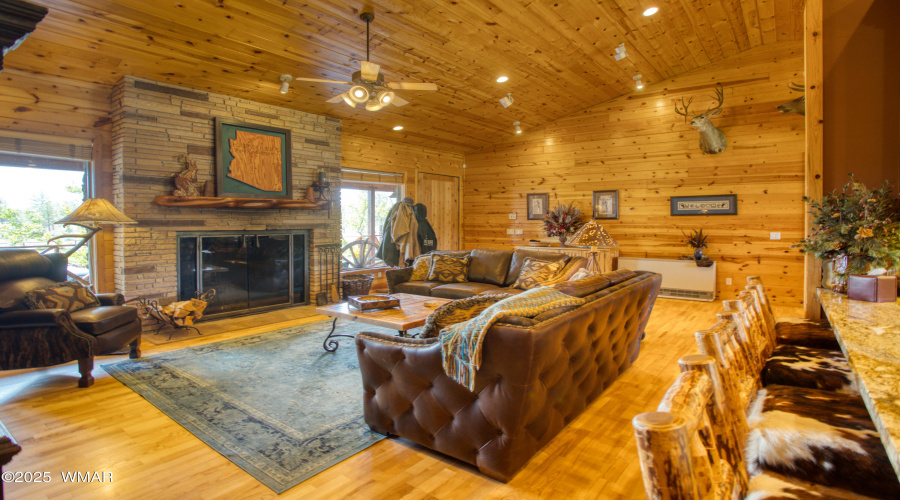 Living Area and Fireplace