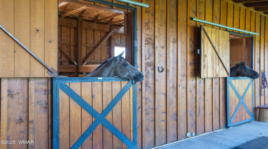 Stables