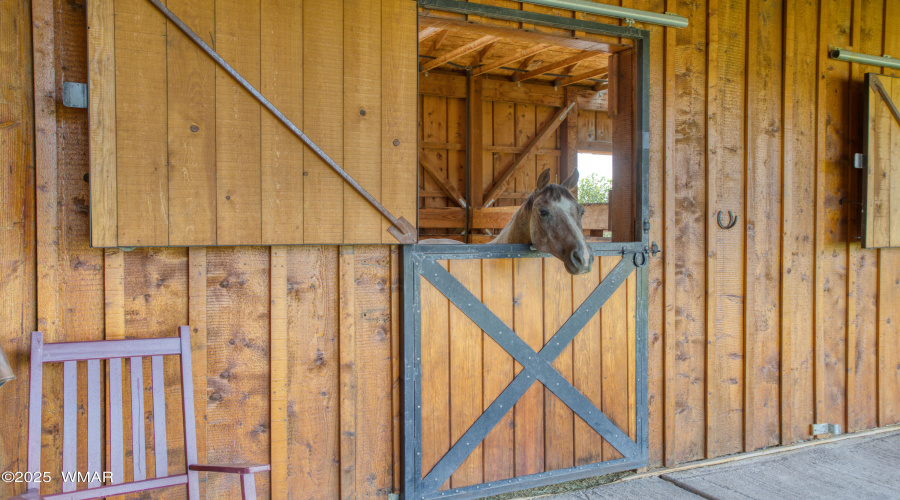 Stables
