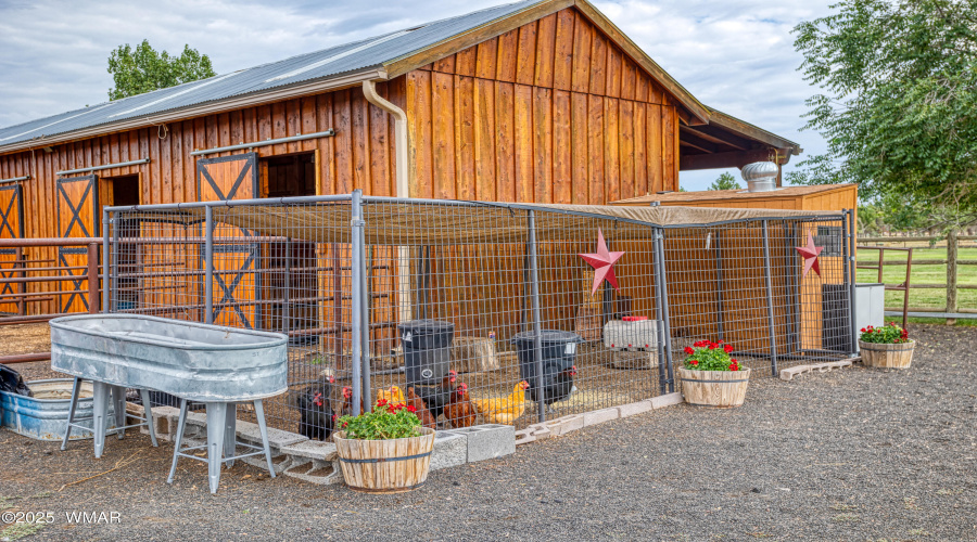Chicken Coop