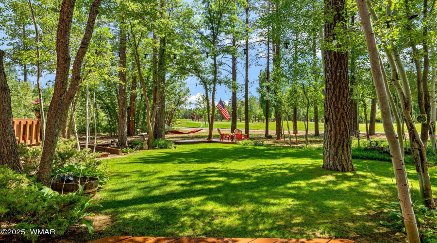 6503BuckSpringsPl-Pinetop-AZ-38