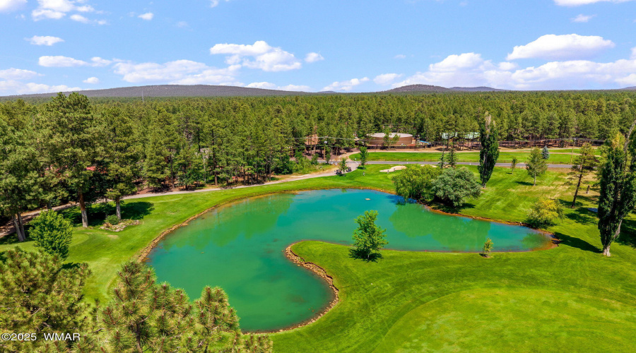 6503BuckSpringsPl-Pinetop-AZ-43