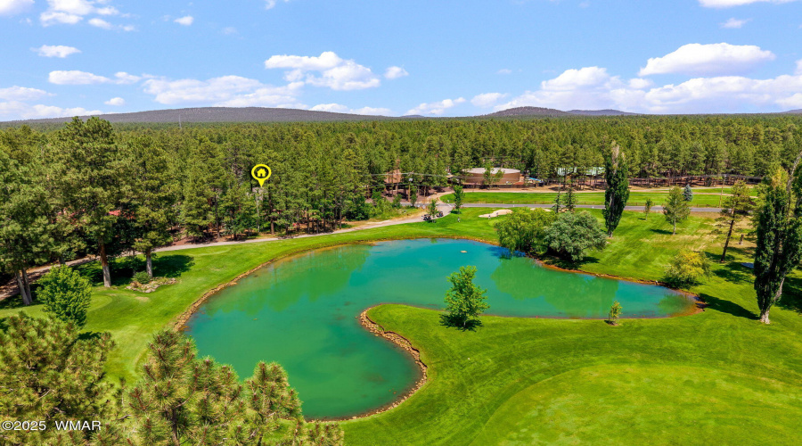 6503BuckSpringsPl-Pinetop-AZ-45