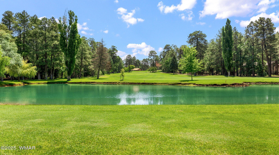 6503BuckSpringsPl-Pinetop-AZ-39